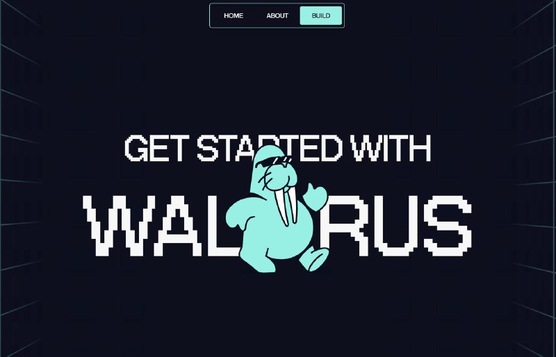 #crypto #airdrop海象Walrus 是SUI 官方推荐的去中心化存储和数据可用性协议，已上测试网，目前可以参与的方式有：1. 银河任务拿NFT：